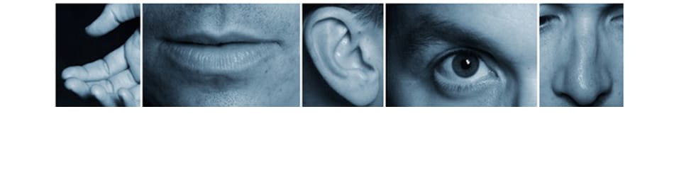 El marketing sensorial en los servicios hosteleros