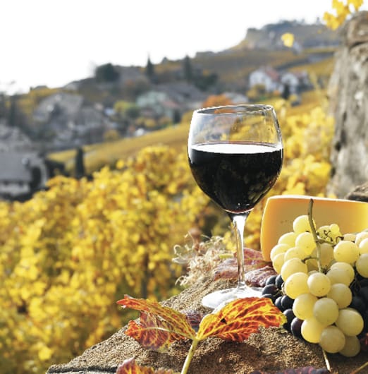 Rutas del Vino por Madrid