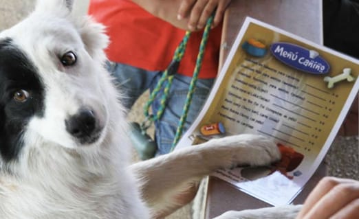 ¿Una Carta para perros?