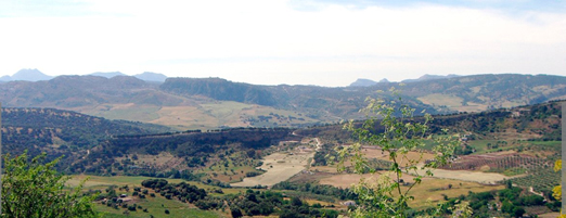ronda-ruta-vino
