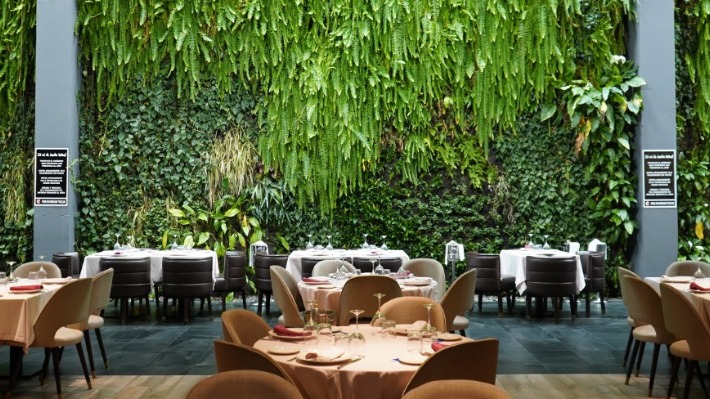 Un jardín vertical, tres alturas y ocho espacios diferentes: Así es el restaurante Bálamo 