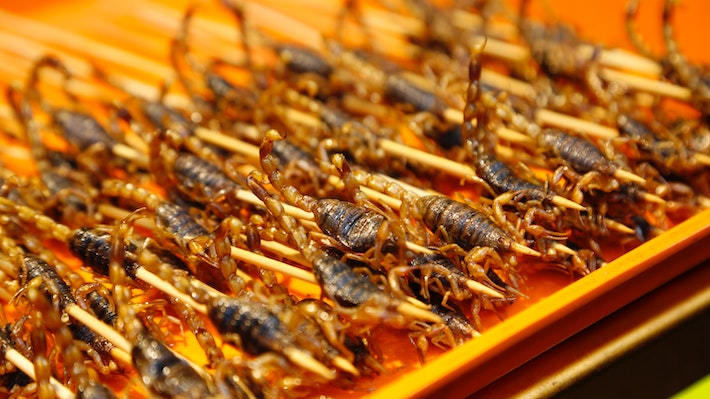 ¿Qué es la entomofagia? Una alternativa gastronómica que cada día gana más seguidores