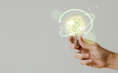 El éxito oculto en la hostelería: cómo la eficiencia energética puede transformar tu restaurante