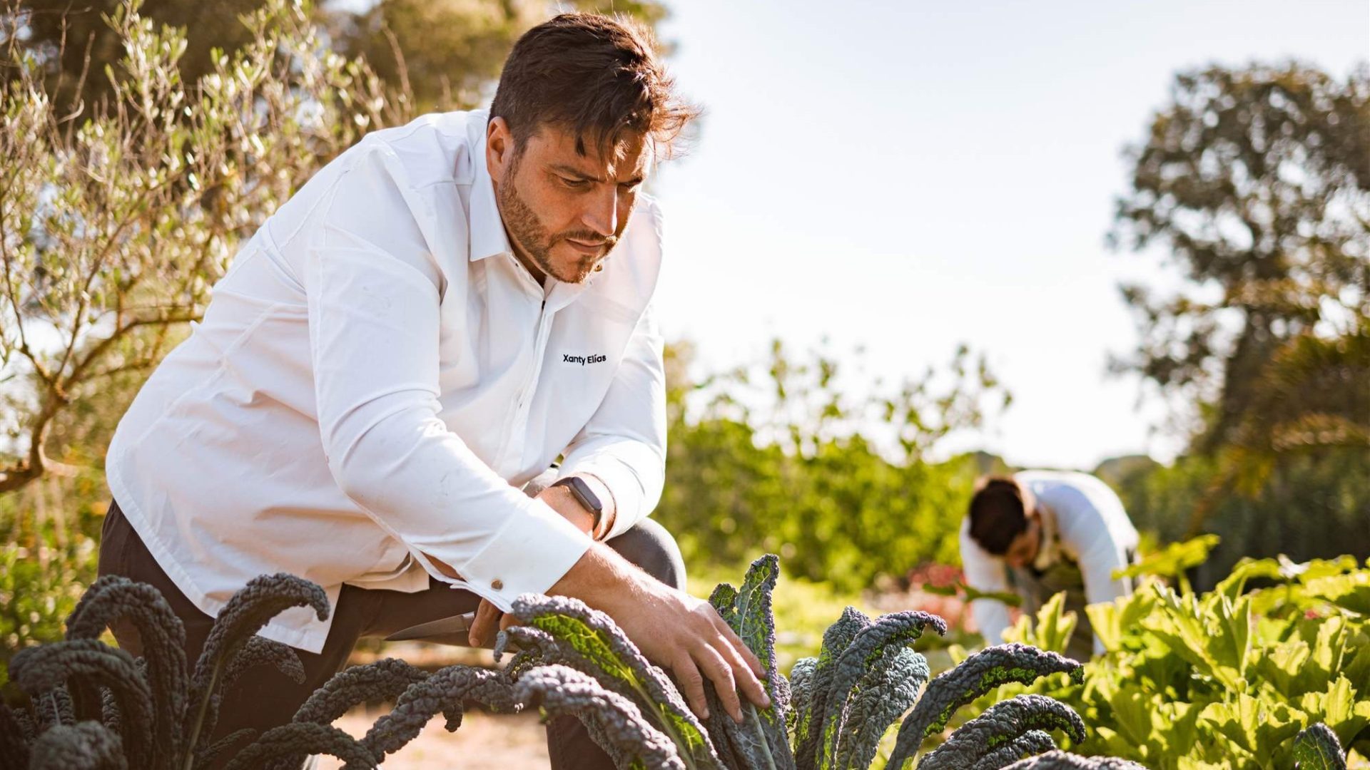 Xanti Elías o qué significa la cocina de ecosistema