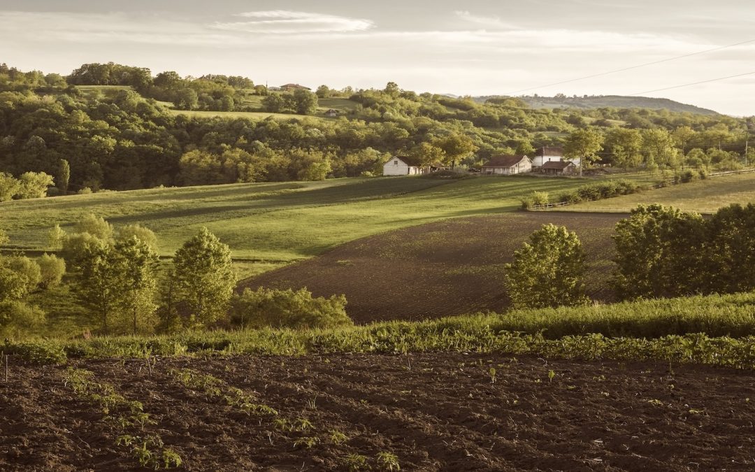 Cocina de entorno: qué es y por qué es importante