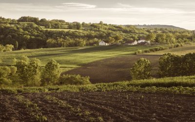 Cocina de entorno: qué es y por qué es importante