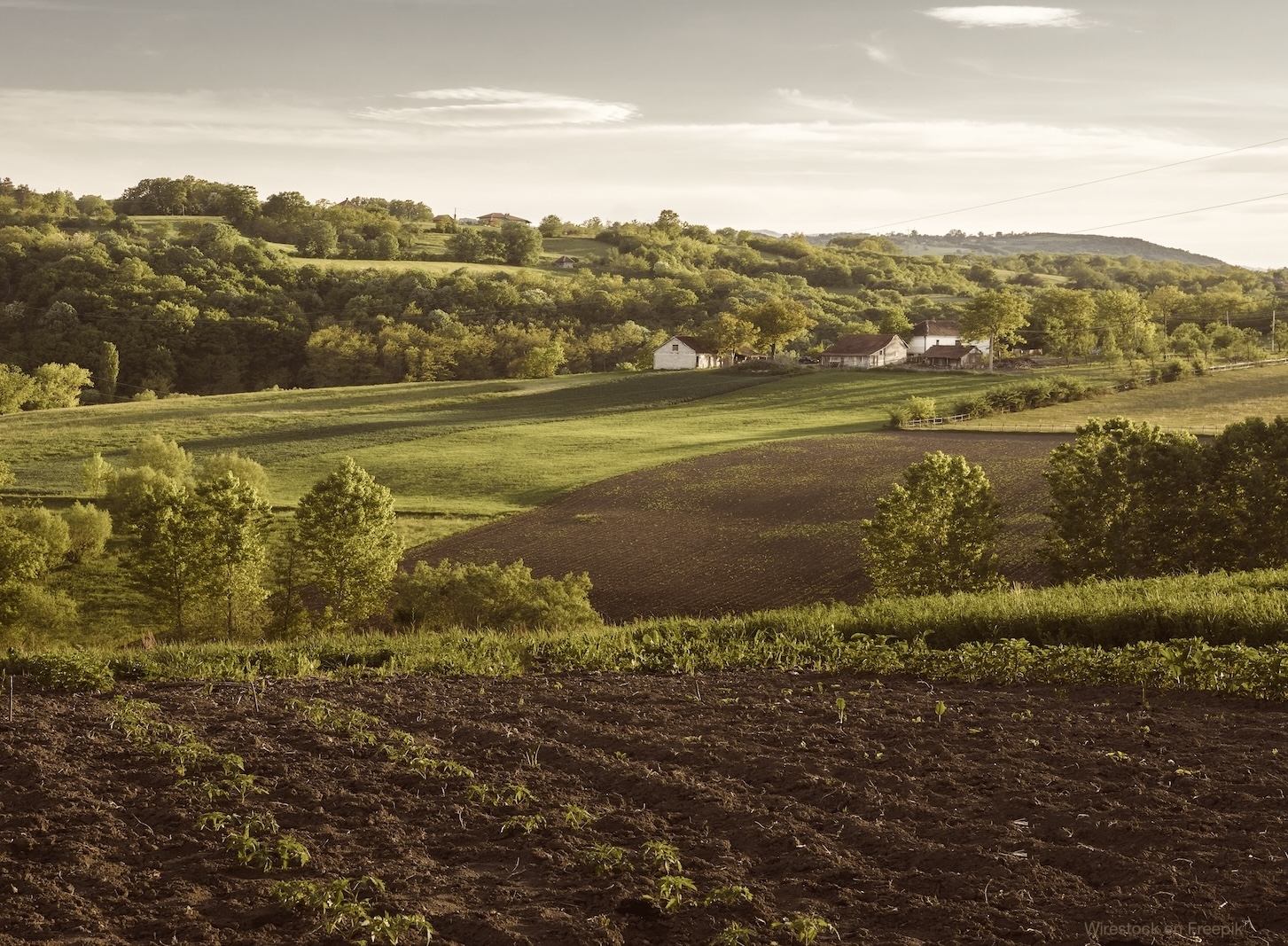 Imagen de wirestock en Freepik